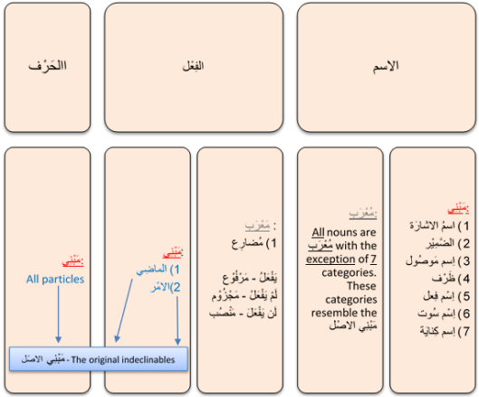 Declinable and Indeclinable words in Arabic. 